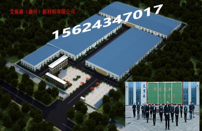 热烈欢迎领导视察艾堡森新厂区项目工程