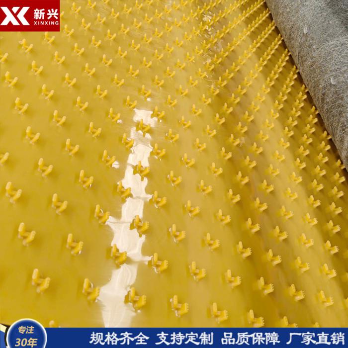 HDPE聚乙烯锚固板  多点PE锚固板新兴集团