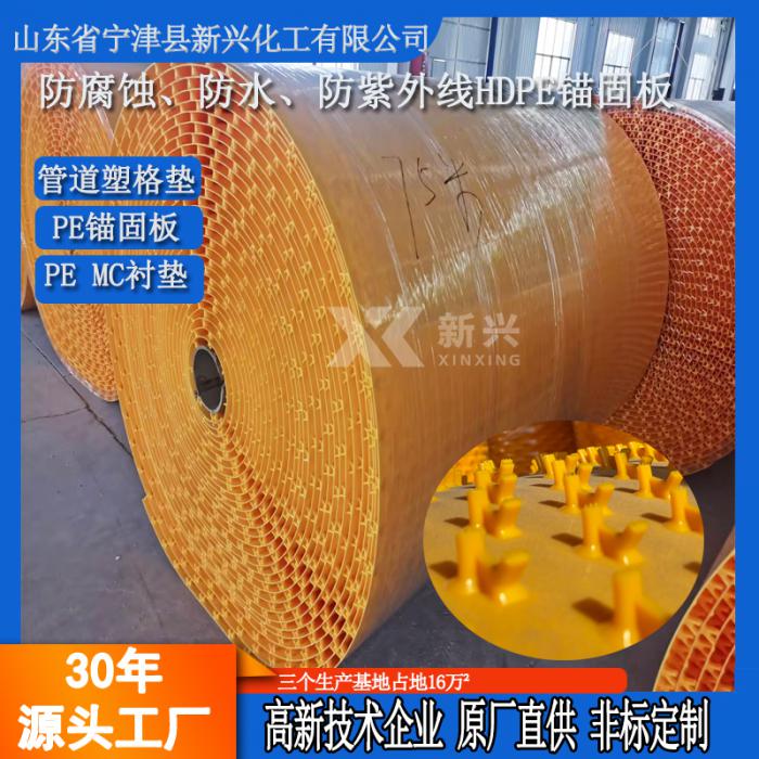 HDPE挤出锚固板混凝土保护衬垫锚固PE板