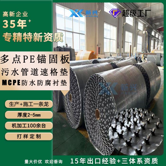 PE 速格垫生产厂家_山东新兴_35 年 HDPE 多点锚固速格垫源头工厂