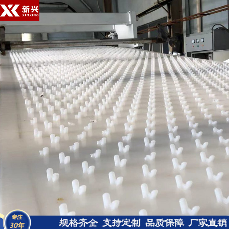 混凝土防护PE锚固板 水泥凝固器锚固板