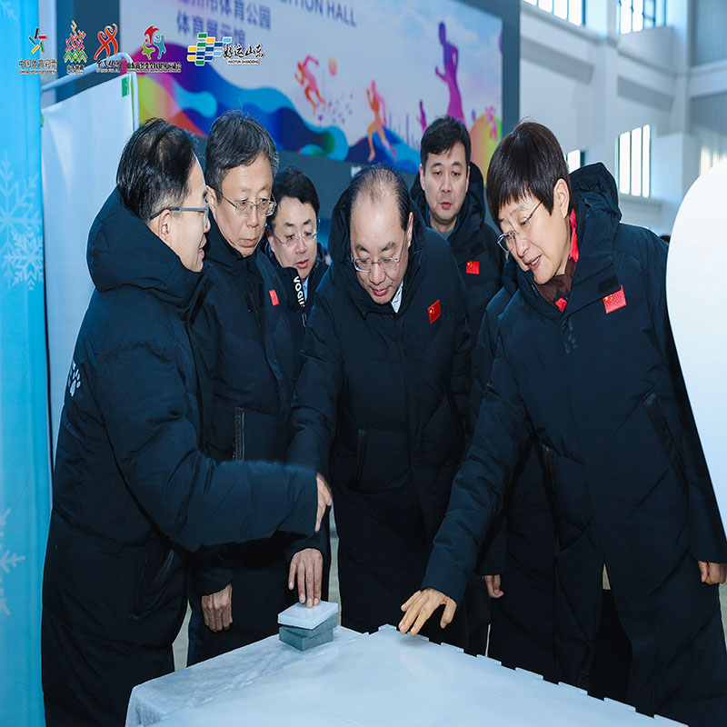 冰球场围栏 仿真冰